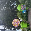 +3120 +326일. 06152025 Silicon Valley. 이미지