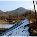 월산1리 이미지