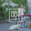 니나노 이미지