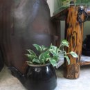 어항카센터 이미지