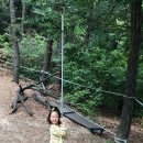 이천시 유아숲체험원 이미지