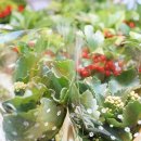 재복농장 이미지