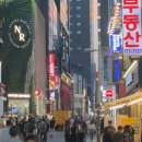 명동 이미지