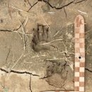 김동윤농장 | [교육참가후기] 연해주 주립 농업대학 Summer School Program (Ussuriysk, 2019.9.9~14)