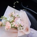 마이미플레르 이미지