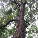 동편농장 이미지