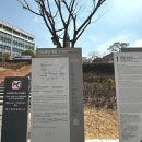 정진석 | [천주교서울대교구역사관] 한국 천주교회 서울대교구의 역사를 전시한 명동대성당 가볼 만한 곳