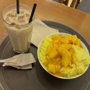 대구 다양한 빙수 맛집 마이커피컬로맨스 망고 빙수 후기