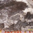 흑룡의원 이미지