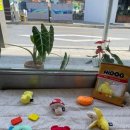 도기로움 이미지