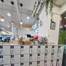 책읽는카페노리 | 양주 옥정 여우별 만화카페 : 아이와 가볼만한 곳 고양이카페같은 만화카페 추천