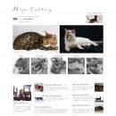 미파캐터리 이미지