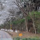 대장금 숯불갈비 이미지