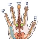 손 혈자리 수지요법 이미지