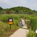 창녕 우포늪 이미지