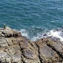 해안 (해안동입구방면) | 이기대 해안산책로, 부산걷기좋은곳 최고의 부산 트레킹코스