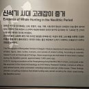 울산 암각화 박물관, 선사시대 암각화