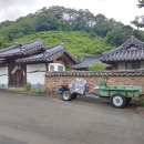 금혁천 네이버블로그