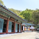 명성가족캠핑촌 이미지