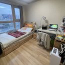 도림천 산책로3 이미지