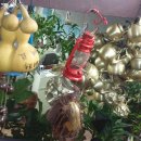 호동이네 이미지