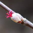 나무나무 이미지