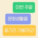 2025년, 즐거운 문화생활 완벽 가이드
