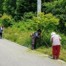 이서면행정복지센터 이미지