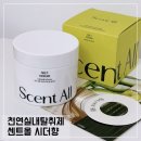 옷장 냄새 신발장 냄새 한 번에 잡아준다고? 센트올 실내탈취제 시더 향 후기