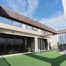 싱글댕글 애견유치원앤호텔 이미지