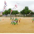 서광초등학교 이미지