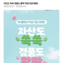 올원 티스토리