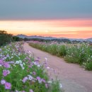 세인치과의원 이미지