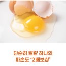 과반농장 | 1번 계란 추천! 대한민국농수산 무항생제 유정란 20구 내돈내산 솔직 후기 (가격 비교 &amp; 배송 파손 보상)