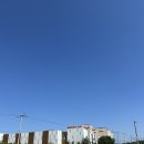 돈워리동물병원 이미지