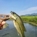 청도천6 이미지