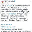 엔도 메디컬 이미지