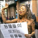 D. C. 클럽 TV리포트