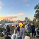 시드니 와찌 1일차