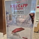 (주)아이스캡 이미지