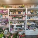 상아빌딩 이미지