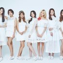 모모랜드 티브이데일리