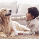 덕수동물병원 이미지