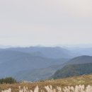 진부농장 이미지