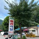옥계가는 민박 | 경북 영덕 옥계계곡 맛집 옥계식당민박 닭백숙 내돈내산