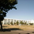 동여자중학교 후문 티스토리