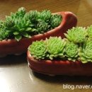 송화화랑