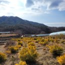 황금슈퍼 이미지