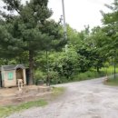 둥지별곡 이미지