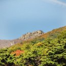 쌀바위맛집 이미지